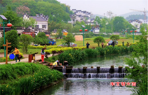 广阔天地大有作为，江苏省休闲旅游农业协会协会成立摄影分会161.png