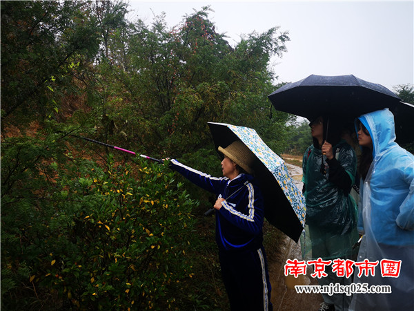 南京中医药大学谷巍教授（前1）在中草药基地调研.jpg