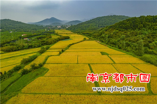 1636703084.jpg 3.jpg