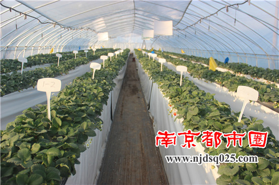 1639988514.jpg 18.jpg