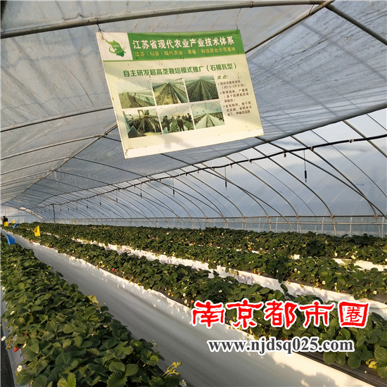 1639988524.jpg 9.jpg