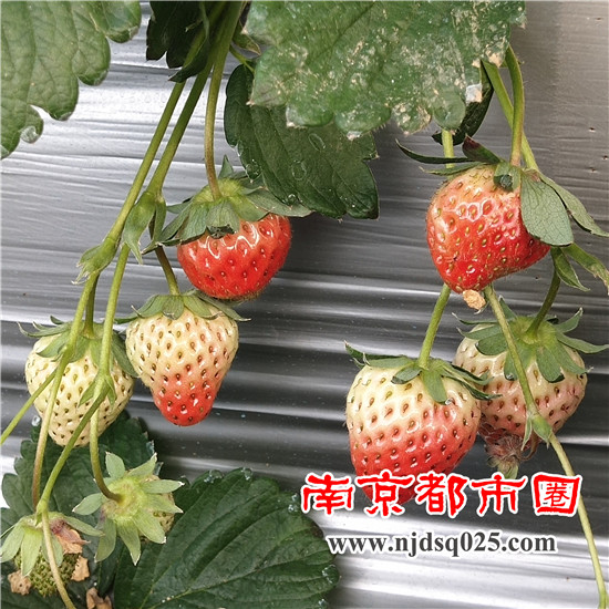 1639988534.jpg 14.jpg