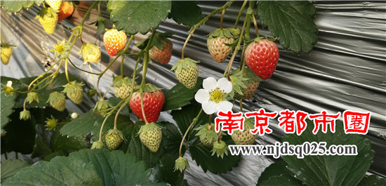 1639988542.jpg 15.jpg