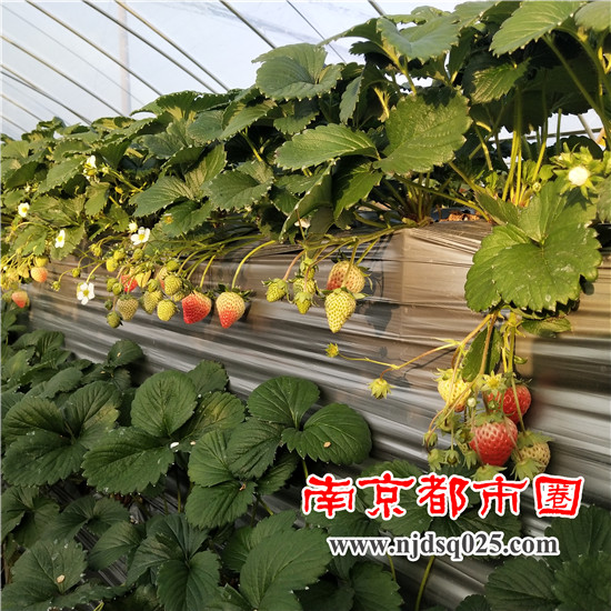 1639988556.jpg 12.jpg