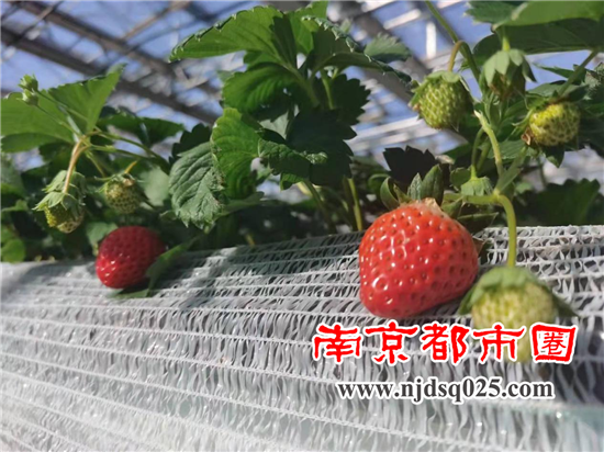 1639998480.png 图片1_副本.png