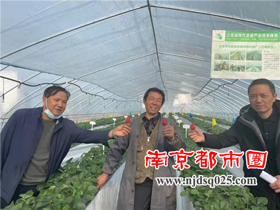 1639998504.png 2_副本.png