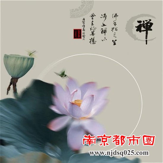 图片28.png