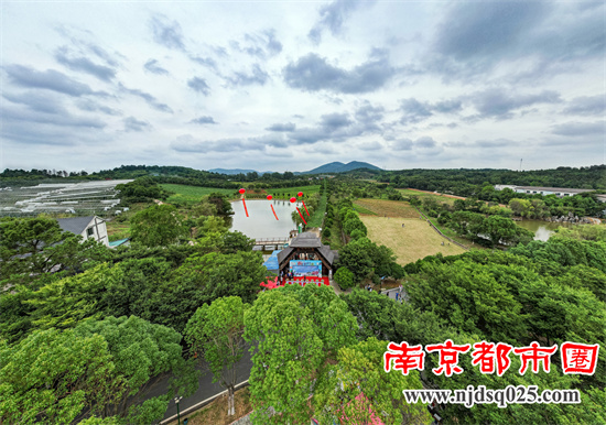 DJI_0179 拷贝(1)_副本1.jpg