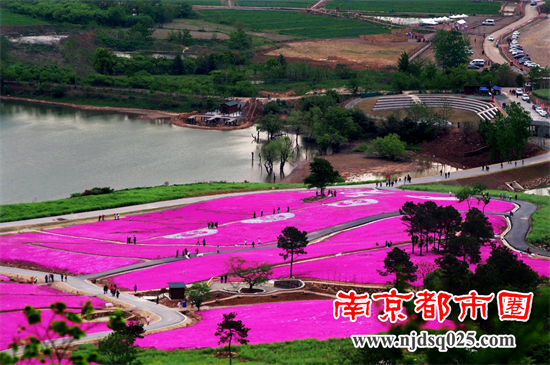 1669855957.png 南京01.png