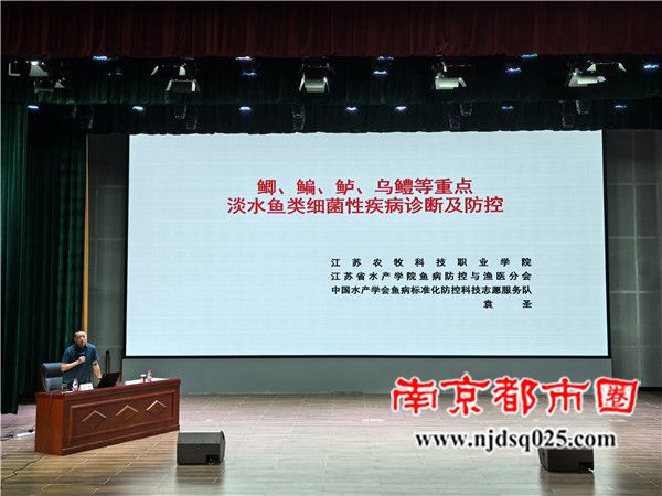 68c67fc335278.jpg 4.jpg