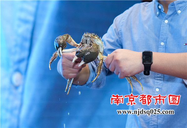 690ffd61874f4.jpg 5.jpg