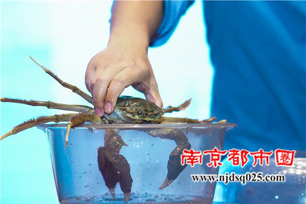 690ffd658b3a3.jpg 6.jpg