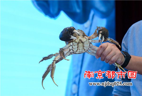 690ffd9748b25.jpg 14.jpg