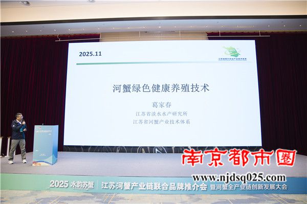 690fff991da09.jpg 7.jpg