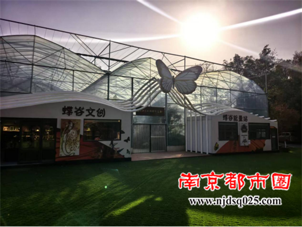 692cf11545d40.png 初冬狂想曲:栖霞的红叶与蝴蝶824.png