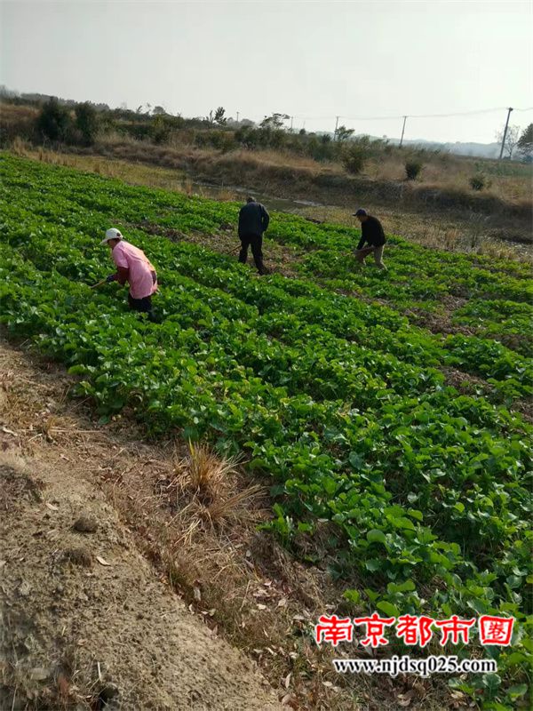 692e5df83ca6c.jpg 微信图片_2025-12-02_112549_210.jpg