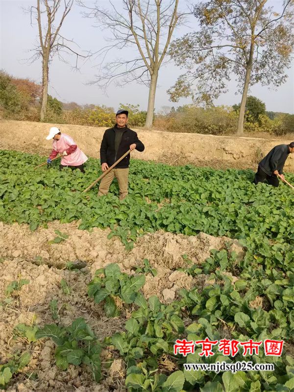 692e5e0081e0f.jpg 微信图片_2025-12-02_112553_008.jpg