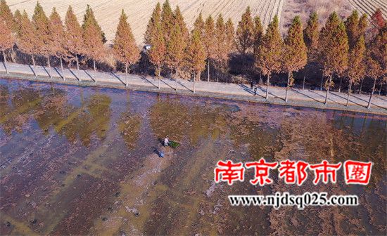 6969ff3c2d934.jpg 2.jpg