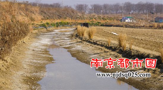 6969ff55e66b5.jpg 6.jpg