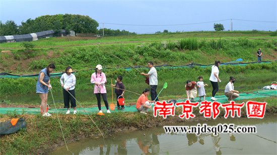 6969ff65417df.jpg 8.jpg