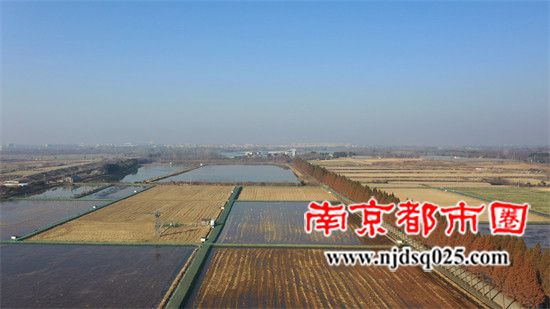 6969ffc76c852.jpg 22.jpg