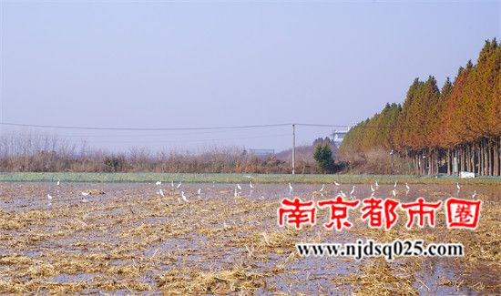 6969ffcc78b58.jpg 23.jpg