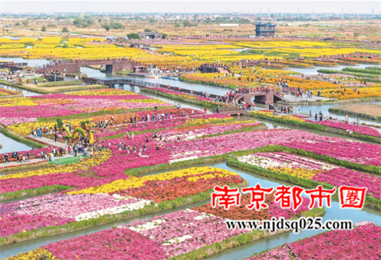 69859727cd597.png 1.png