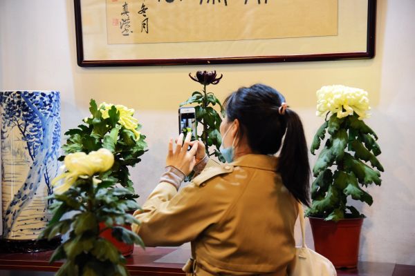 DSC_1648_副本