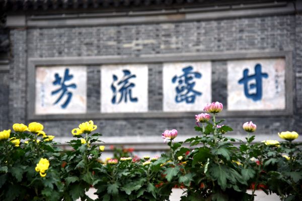 DSC_1813_副本